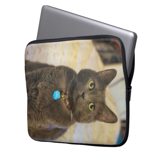 Mims Laptopschutzhülle (Vorderseite Links)