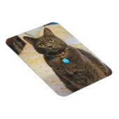 Mims Magnet (Rechte Seite)