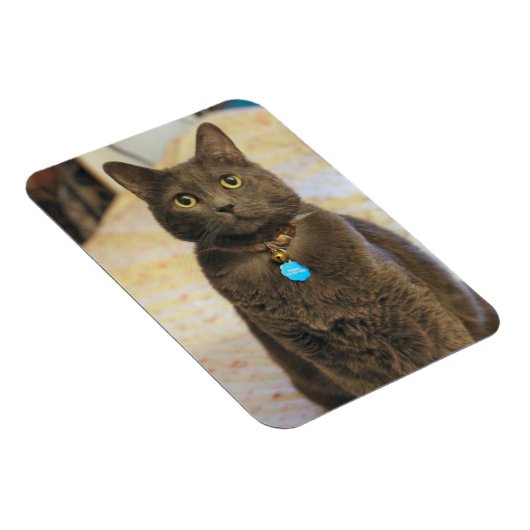 Mims Magnet (Rechte Seite)