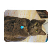 Mims Magnet (Horizontal)