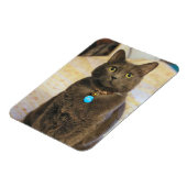 Mims Magnet (Linke Seite)