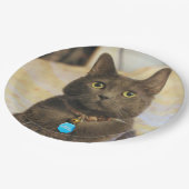 Mims Pappteller (Schrägansicht)