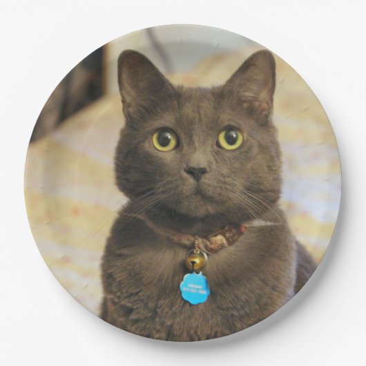 Mims Pappteller (Vorderseite)