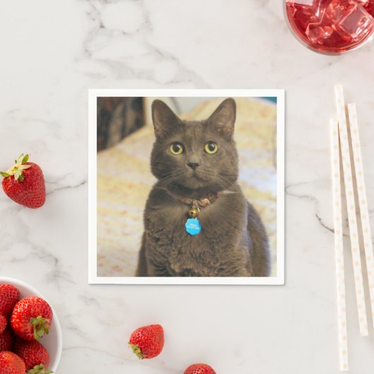 Mims Serviette (Beispiel)