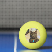 Mims Tischtennisball (Netto)