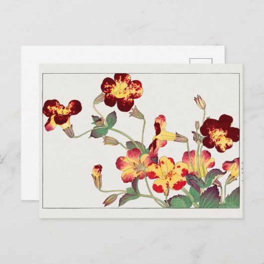 Mimulus luteus von Tanigami Konan Postkarte (Vorne/Hinten)