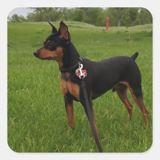 Min Button Quadratischer Aufkleber (Vorderseite)