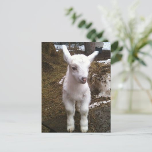 Min. Doeling Postkarte (Stehend Vorderseite)