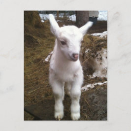 Min. Doeling Postkarte