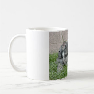 min schn salz und pepper puppy kaffeetasse