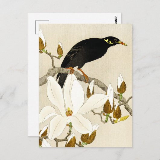 Mina On Magnolia Branch von Koson, Common Hill Min Postkarte (Vorne/Hinten)