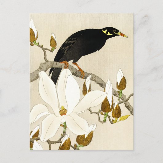 Mina On Magnolia Branch von Koson, Common Hill Min Postkarte (Vorderseite)