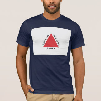Minasgerais Flaggen-T - Shirt
