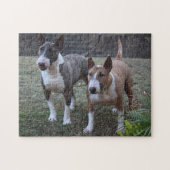 Minature Bull Terrier Puzzle (Horizontal)
