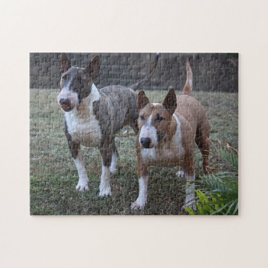 Minature Bull Terrier Puzzle (Horizontal)