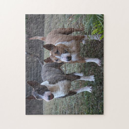 Minature Bull Terrier Puzzle (Vertikal)