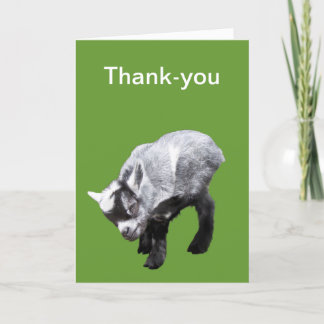 Minature Goat Scratching Dankeschön Card Dankeskarte