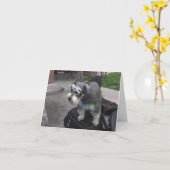 Minature Schnauzer BIKER Karte (Gelbe Blume)