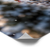 Minaturisierte Eisfläche Eislaufen Poster (Ecke)