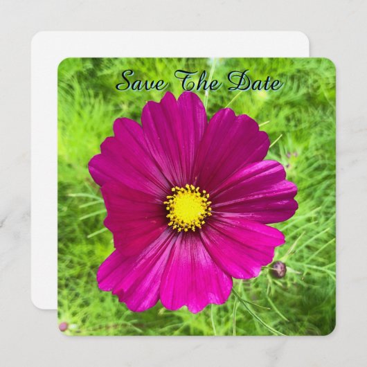 Mind Edition: Kosmos Save the Date (Vorne/Hinten)