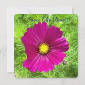 Mind Edition: Kosmos Save the Date (Vorderseite)