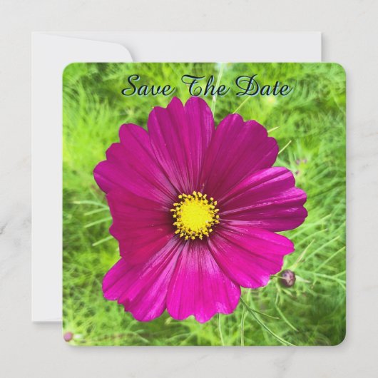 Mind Edition: Kosmos Save the Date (Vorderseite)