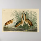 Mindest-Bittern Poster (Vorne)