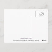 Mindfulistische Postkarten (Rückseite)