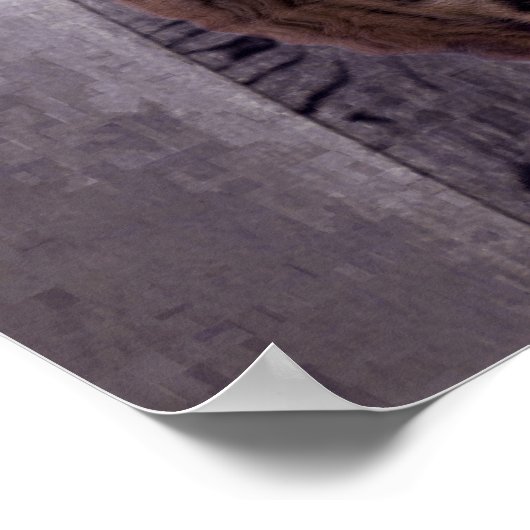 Mindset ist alles - Kat und Tiger Reflektion Poster (Ecke)