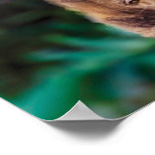 Mindset ist alles, Roaring Lion Cub Reflektion Poster (Ecke)