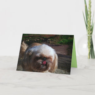 Mindy Card Karte