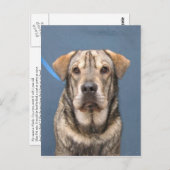 Mindy Postkarte (Vorne/Hinten)