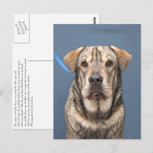 Mindy Postkarte (Vorne/Hinten)