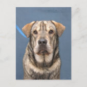 Mindy Postkarte (Vorderseite)