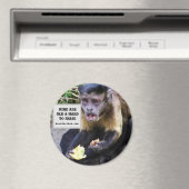 Mine are hard to raise magnet (In Situ (Geschirrspüler))