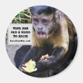 Mine are hard to raise magnet (Vorne)