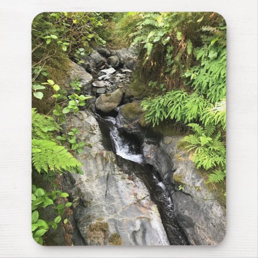 Miner Creek, Samuel H. Boardman, OR Mousepad (Vorne)