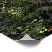 Miner Creek, Samuel H. Boardman, OR Poster (Ecke)