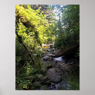 Miner Creek, Samuel H. Boardman, OR Poster