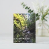Miner Creek, Samuel H. Boardman, OR Postkarte (Stehend Vorderseite)