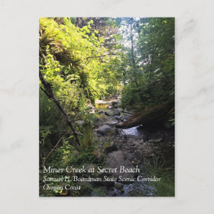 Miner Creek, Samuel H. Boardman, OR Postkarte