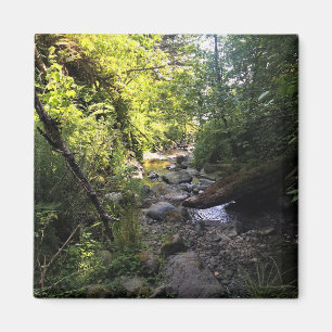 Miner Creek, Samuel H. Vorstand Magnet
