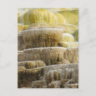 Mineral fällt an den Mammut-Frühlingen Wyoming Postkarte