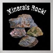 Mineral Rock Collectors Funny Poster (Vorne)