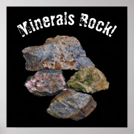 Mineral Rock Collectors Funny Poster