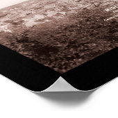 Mineral Wells TX Scene Foto 1906 Poster (Ecke)