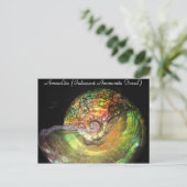 Mineralien & Gems # 127 Postkarte (Stehend Vorderseite)