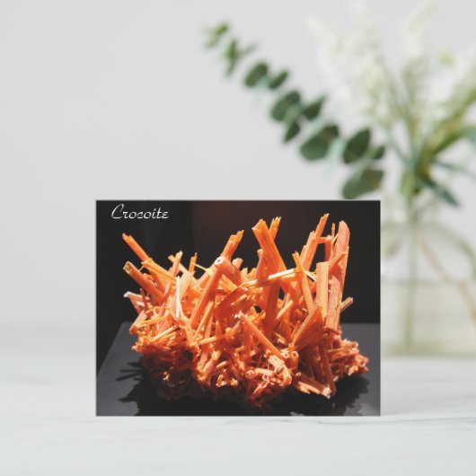 Mineralien u. Edelsteine # 164 Postkarte (Stehend Vorderseite)