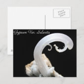 Mineralien und Gemische # 3 Postkarte (Vorne/Hinten)