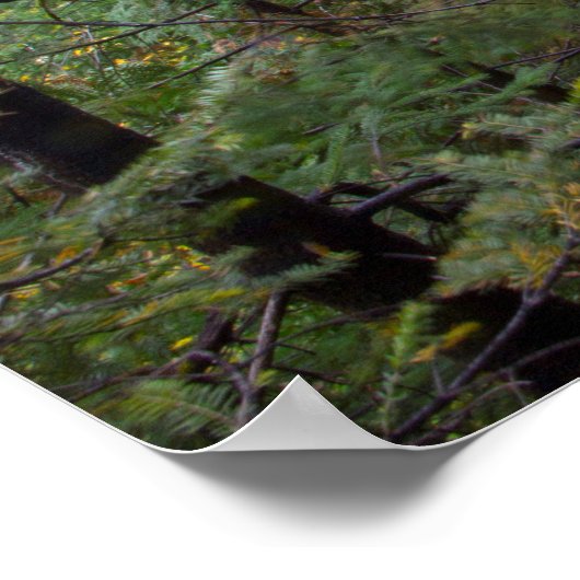 Minerfälle, Michigan Poster (Ecke)